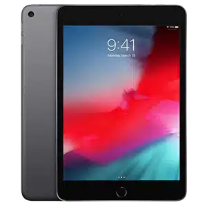 iPad Mini 5 in gray color